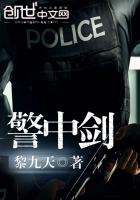 警中剑电视剧