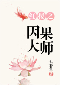 红楼之因果大师笔趣阁